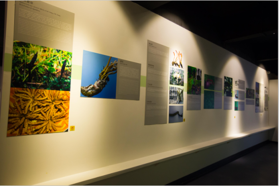 �Ї�(gu��)�x�ݲ����^