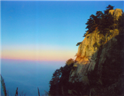 ����կ����