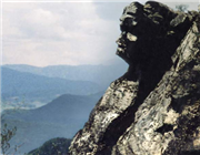 ����կ����