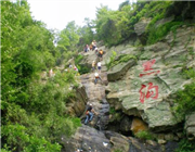 �����r(n��ng)�f�T(m��n)Ʊ