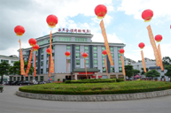 �������I(l��ng)�̄�(w��)�Ƶ�  �������B�T(m��n) ��